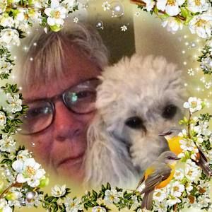 Meet your Posher, Evelyn